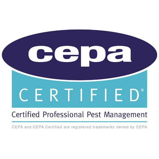 Cepa